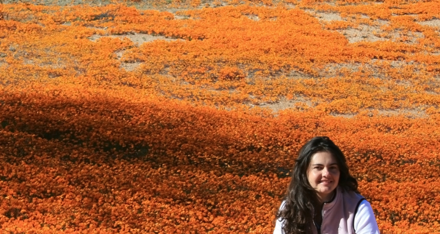 Spring in the Western Cape: Events, Escapes & Where to Stay
